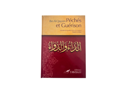 Péchés et guerison